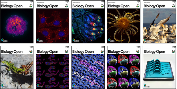 Selection of Biology Open front cover images published throughout Steven Kelly's time as EiC 