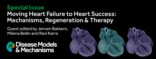 Special issue advert depicting images of hearts