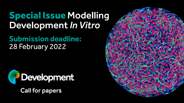 Call for papers banner