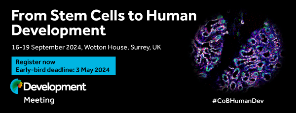 Promotional banner for Development 2024 Journal Meeting