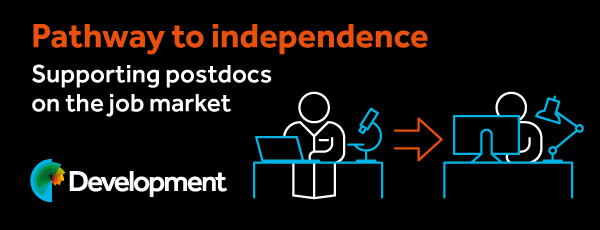 Pathway to independence - supporting postdocs on the job market 