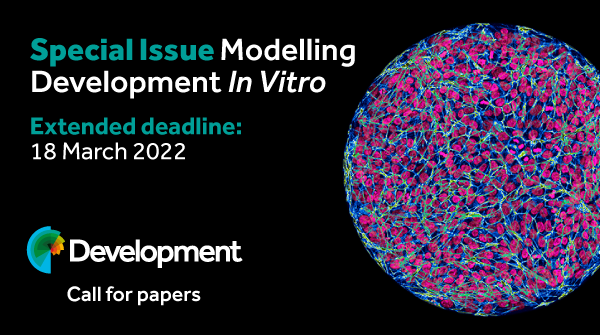 Dev Call for papers banner