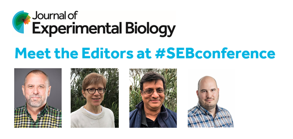 Images from left to right of Editors Craig Franklin, Katie Gilmour and Sanjay Sane, and Features and Reviews Editor Jarren Kay. 