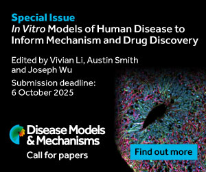 Call for papers Special issue In Vitro Models of Human Disease to Inform Mechanism and Drug Discovery Edited by Vivian Li, Austin Smith and Joseph Wu Submission deadline: 6 October 2025 - Image: Brain organoid