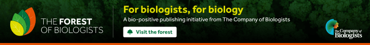 Forest promotional banner