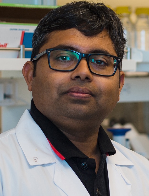 Bapi Sarker