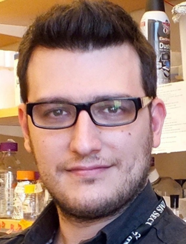Nuno Martins
