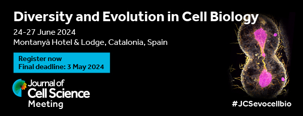 Banner promoting the final deadline of the JCS Journal Meeting: 3 May