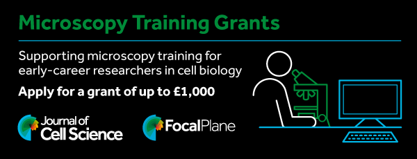 Supporting microcopy training for early-career researchers in cell biology - apply for a grant up to £1,000