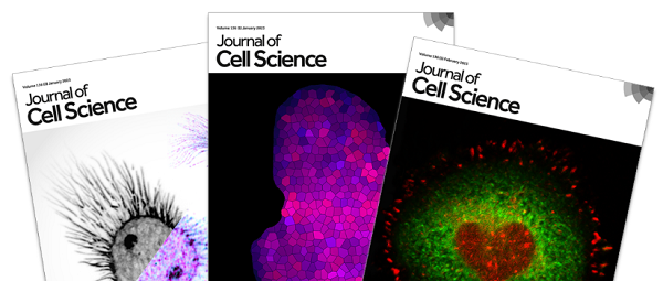 Three Journal of Cell Science front cover images 