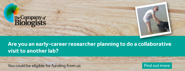 Travelling Fellowship Ad banner depicting a grant recipient in the sea gathering specimens for scientific research