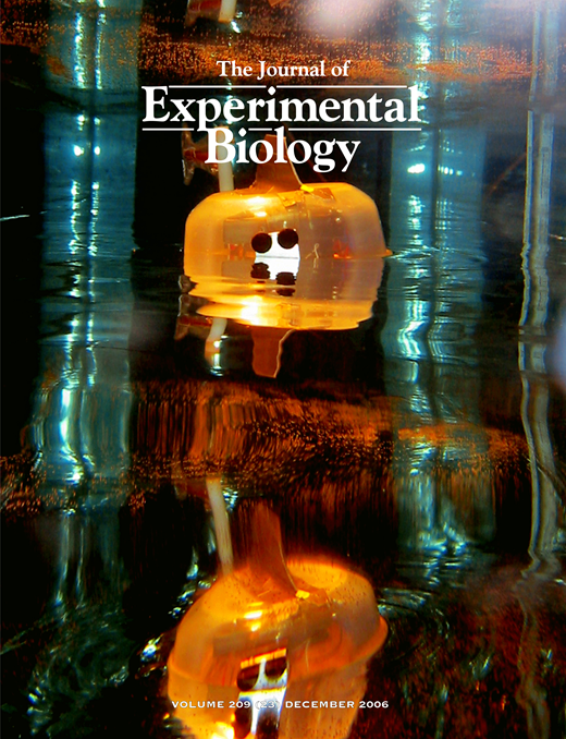 JEB cover 203-23