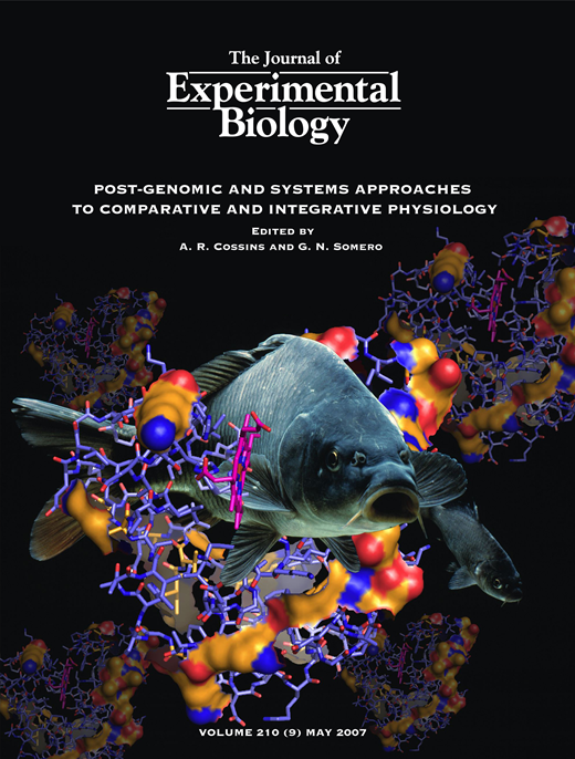 JEB cover issue 210-9