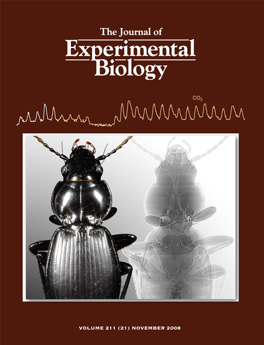 JEB cover issue 211-21