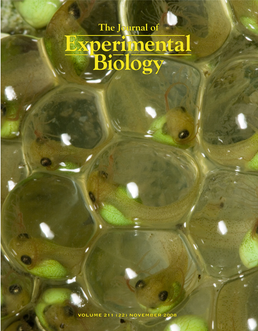 JEB cover issue 211-22
