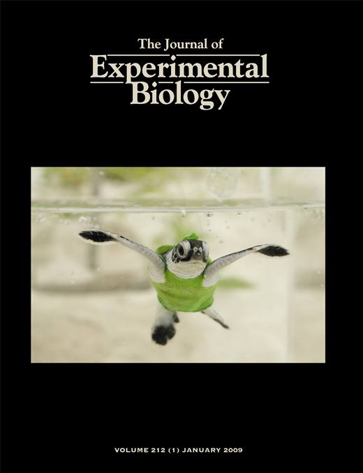 JEB cover issue 212-1