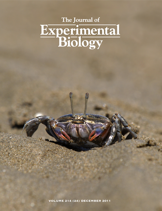 JEB cover issue 214-24