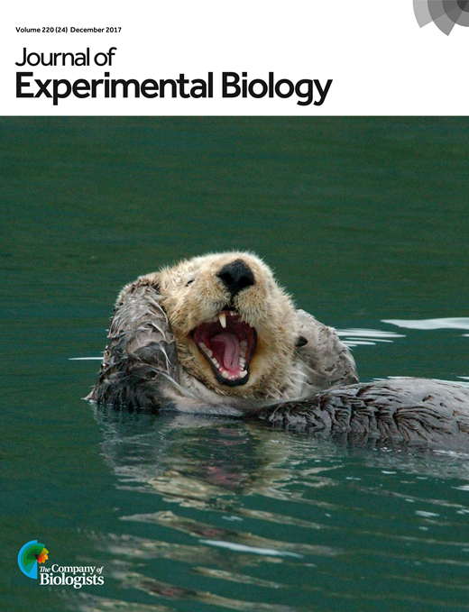 JEB cover issue 220-24