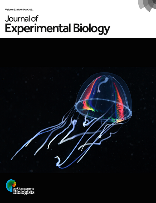 JEB cover issue 224-10
