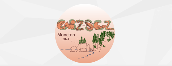 CSZ 2024 meeting logo