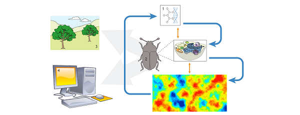 Fig 1 of the commentary article