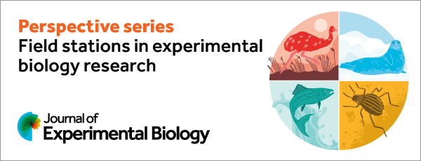 Banner for the Journal of Experimental Biology featuring text 