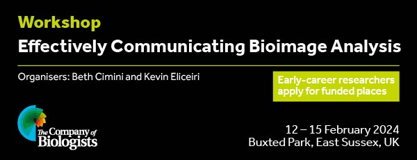 Advertisement banner depicting the workshop