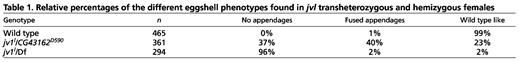 Relative percentages of the different eggshell phenotypes found in jvl transheterozygous and hemizygous females