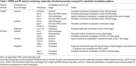 FERM and PH domain-containing, maternally inherited transcripts screened for subcellular localization patterns