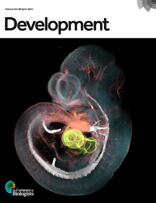 Correction: Zebrafish raptor mutation inhibits the activity of mTORC1 ...