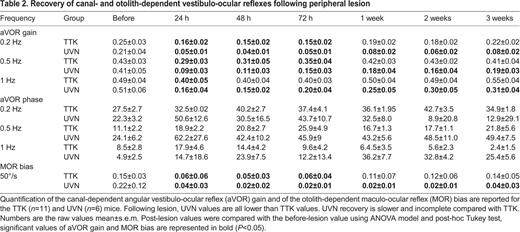 Recovery of canal- and otolith-dependent vestibulo-ocular reflexes following peripheral lesion