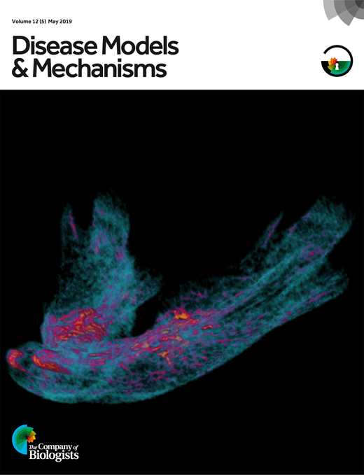 First person – Scott Collum | Disease Models & Mechanisms | The Company ...