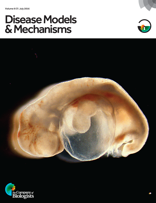 Hallmarks of progeroid syndromes: lessons from mice and reprogrammed ...