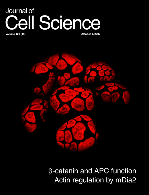 Adenomatous polyposis coli (APC): a multi-functional tumor suppressor ...