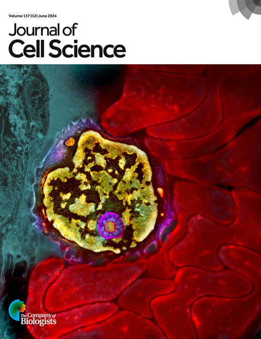 Cell Journal Format Interview with Journal of Cell Science Editor Richa Rikhy | Journal of ...