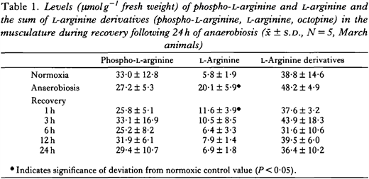 Levels (μmol g−1fresh weight) of phospho-L-arginine and L-arginine and the sum of L-arginine derivatives (phospho-L-arginine, L-arginine, octopine) in the musculature during recovery following 24 h of anaerobiosis (x̄ ± S.D., N = 5, March animals)