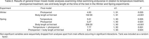Results of general linear mixed model analyses examining initial swimming endurance in relation to temperature treatment, photoperiod treatment, sex and body length at the time of the test in the Winter and Spring experiments