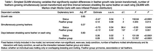 Simplest GLMM showing variables that significantly explain differences in feather growth rate (arcsin transformed), number of feathers growing simultaneously (arcsin transformed) and time interval between shedding the same feather on each wing (GLMM with Markov chain Monte Carlo with zero inflated Poisson distribution)