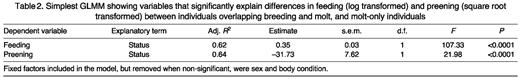 Simplest GLMM showing variables that significantly explain differences in feeding (log transformed) and preening (square root transformed) between individuals overlapping breeding and molt, and molt-only individuals