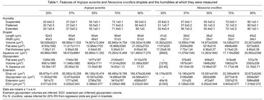 Features of Argiope aurantia and Neoscona crucifera droplets and the humidities at which they were measured