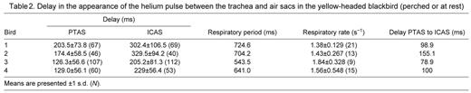 Delay in the appearance of the helium pulse between the trachea and air sacs in the yellow-headed blackbird (perched or at rest)