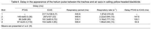 Delay in the appearance of the helium pulse between the trachea and air sacs in calling yellow-headed blackbirds
