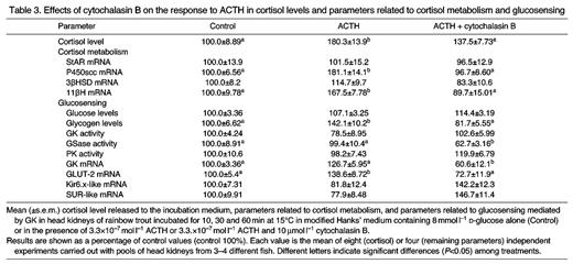 Effects of cytochalasin B on the response to ACTH in cortisol levels and parameters related to cortisol metabolism and glucosensing