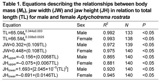 Equations describing the relationships between body mass (Mb), jaw width (JW) and jaw height (JH) in relation to total length (TL) for male and female Aptychotrema rostrata