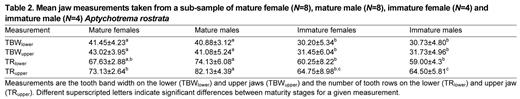 Mean jaw measurements taken from a sub-sample of mature female (N=8), mature male (N=8), immature female (N=4) and immature male (N=4) Aptychotrema rostrata