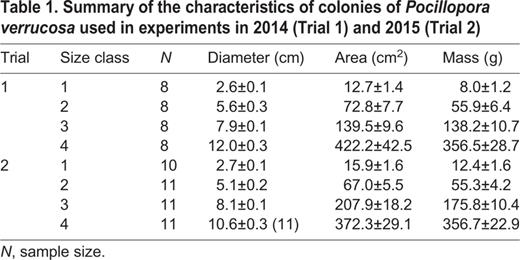 Summary of the characteristics of colonies of Pocillopora verrucosa used in experiments in 2014 (Trial 1) and 2015 (Trial 2)