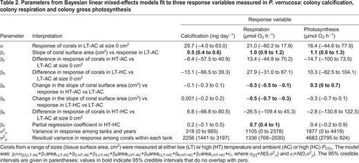 Parameters from Bayesian linear mixed-effects models fit to three response variables measured in P. verrucosa: colony calcification, colony respiration and colony gross photosynthesis