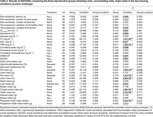 Results of ANCOVAs comparing the three reproductive groups (breeding male, non-breeding male, virgin male) in the two housing conditions (control, challenge)