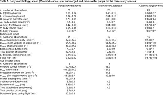 Body morphology, speed (U) and distance (s) of submerged and out-of-water jumps for the three study species