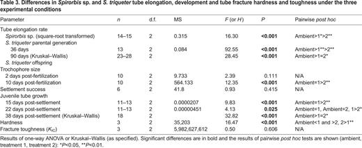 Differences in Spirorbis sp. and S. triqueter tube elongation, development and tube fracture hardness and toughness under the three experimental conditions